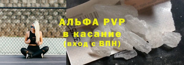 спиды Белокуриха